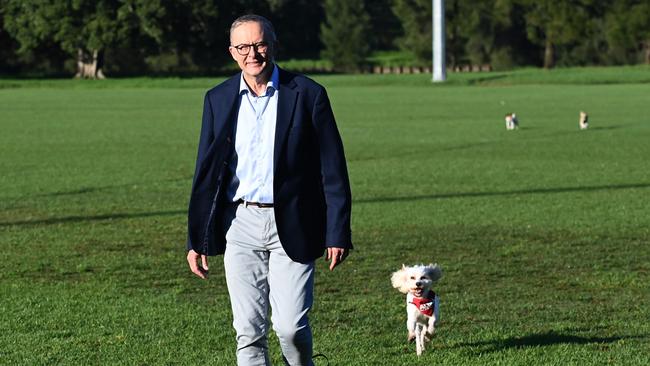 Anthony Albanese leaves his home for a walk for the first time since contracting Covid. Picture: NCA NewsWire / Jeremy Piper