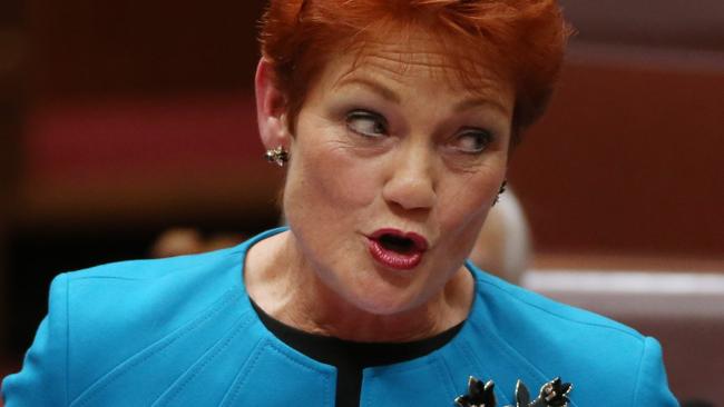 Pauline Hanson. Pic: Gary Ramage