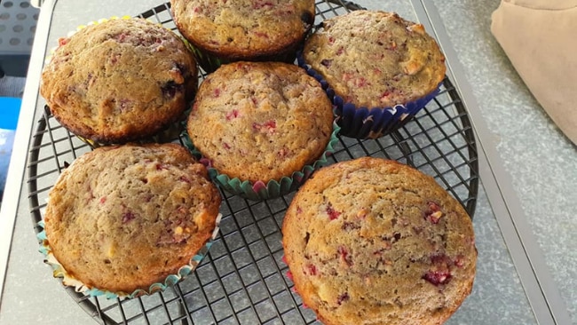 9/14Camper's cakes on the go
Pauline O: “Done on our Ziggy this morning [first] try at these banana cupcakes with blueberries, raspberries and walnuts. Little burnt ... but not too shabby.” Picture: Camping Recipes - Camp Oven/Weber/BBQ/Dream Pot etc / Pauline O