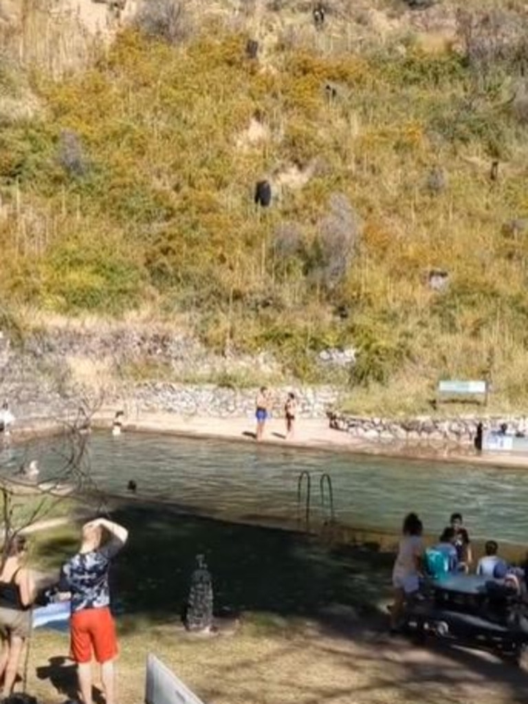The pool is absolutely no hidden gem with groups of people everywhere. Picture: Tik Tok/lenasdoingthings
