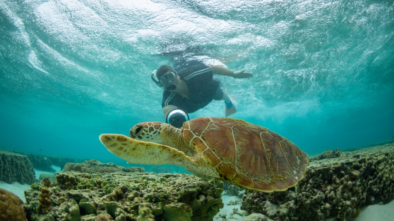 Proposed tourist tax ‘won’t be popular’ in Queensland