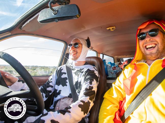 Day 2: Hay to Silverton — Animals in one car, farmers in the other. Photo: BOX RALLIES