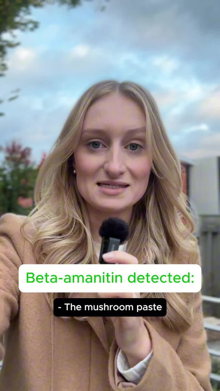 Day 12 court recap: Death cap toxins found in debris from Erin Patterson's dumped dehydrator