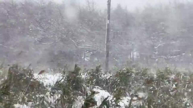 Blowing Snow Hits Hokkaido as Several Killed Amid Japan Winter Weather