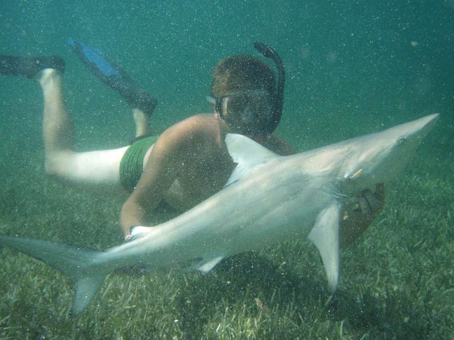 Cuddling a shark.