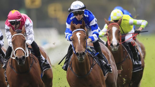 Gytrash (blue) “wasn’t sensational” in his Warwick Farm trial on Tuesday according to trainer Gordon Richards. Picture: Getty Images