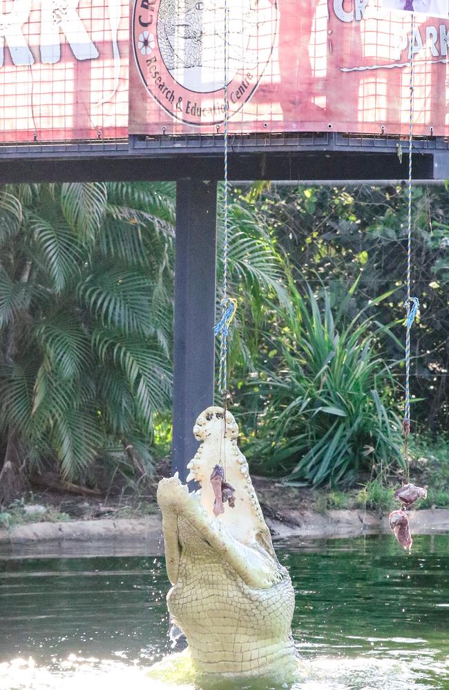 A 17-year-old broke into Crocodylus Park, home to more than 40 saltwater crocodiles, and stole a car. Picture: Glenn Campbell