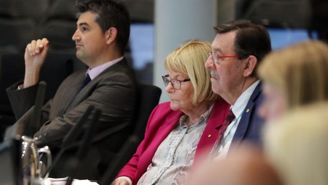 Councillor Dawn Crichlow at council. Photo by Richard Gosling.