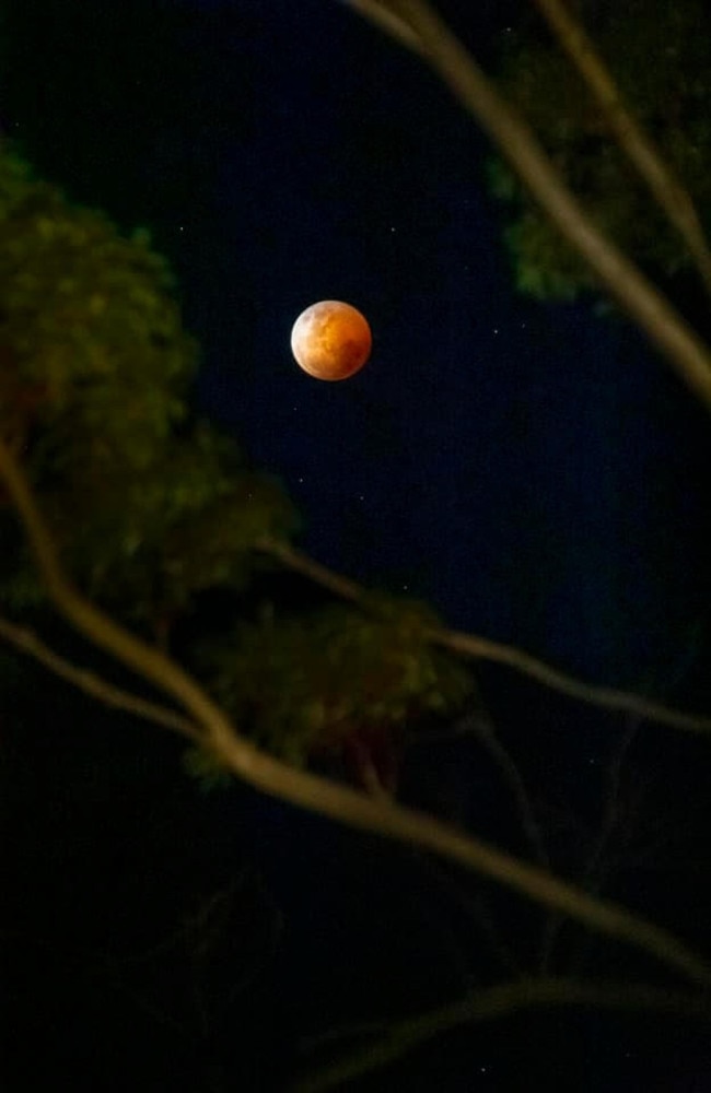 The Blood Moon from SA: Simon May