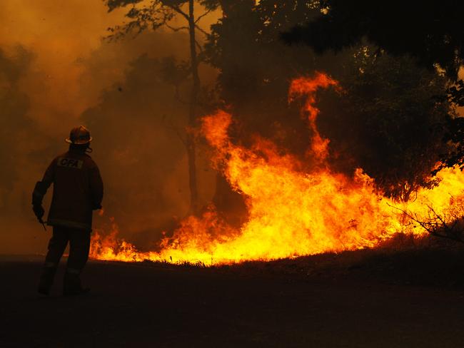 Bushfire burning close to Labertouche near Pakenham, east of Melbourne. Black Saturday. Bushfires. Fires. One particular family living on the edge of Bunyip State Forest, stayed to defend their property with Elvis landing in a nearby dam to collect water.