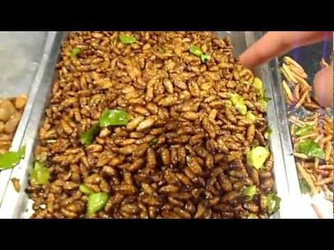 Thai Food Market Sells Edible Bugs to Tourists. Credit - darrenb3 via Storyful