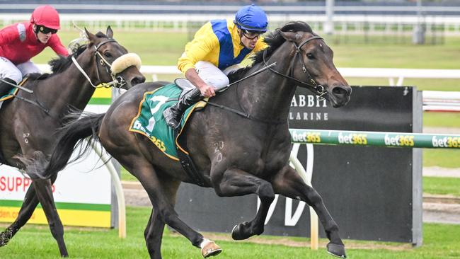 Hiyaam Proud will continue his campaign in Queensland despite trainer Matt Laurie ruling him out of Saturday’s Queensland Derby. Picture: Racing Photos via Getty Images.