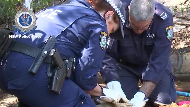 Police conduct a search of the former Dawson home in Bayview