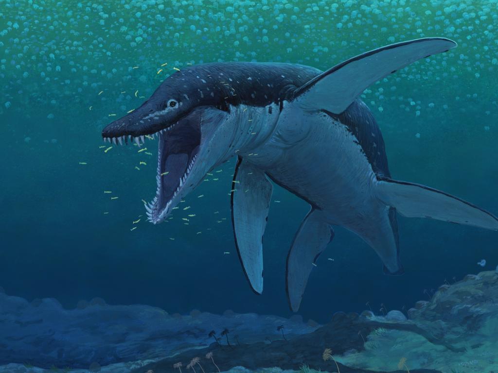 KIDS NEWS 2023: Artist's impression of the mega-predator Lorrainosaurus. Picture: Joschua Knüppe