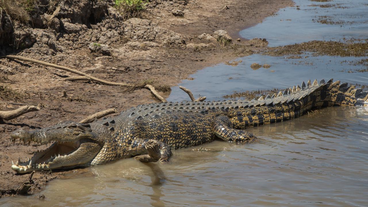 Mr Lemic’s car was allegedly bogged in a crocodile-infested region. Picture: Tourism Australia