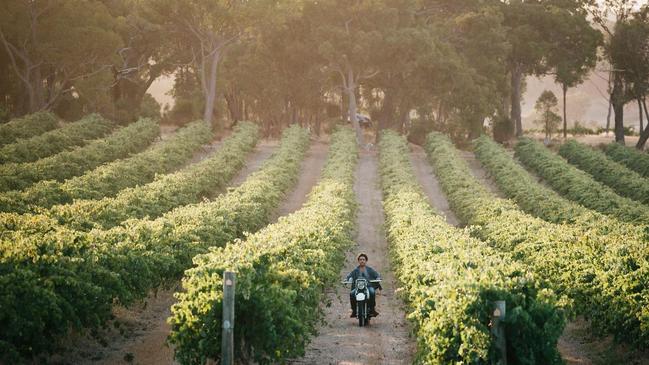 Larry Cherubino in his vineyards at Larry Cherubino Wines, Margaret River