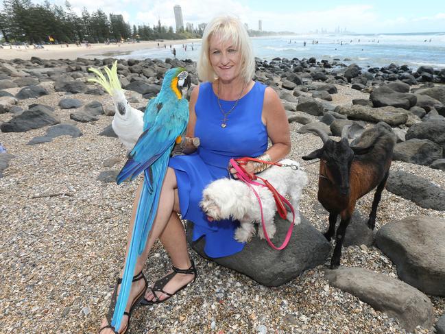 Simone Patterson, director of a refuge for domestic violence victims and their pets, on the beach at Burleigh Heads .Picture Mike Batterham