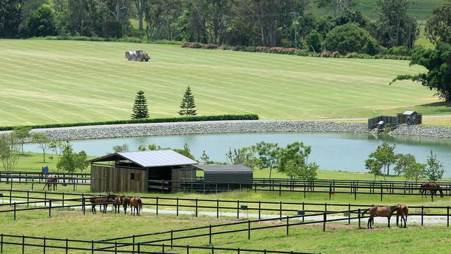 Elysian Field, Canungra