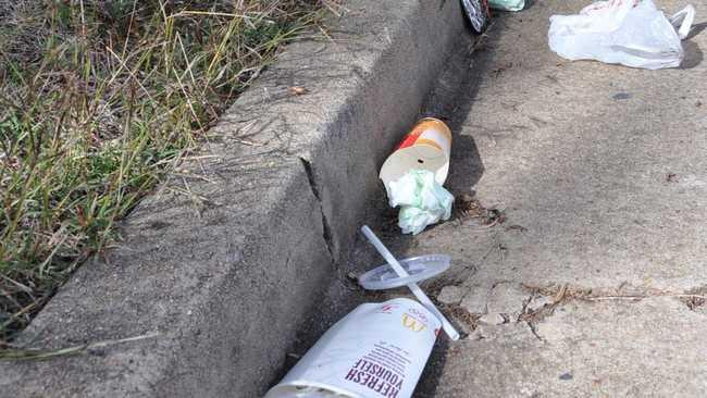 A local mum has taught her five-year-old daughter Chelsea the importance of looking after the environment and picking up rubbish, even when it's not hers. . Picture: File photo