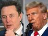 Trump’s shock government job for Musk