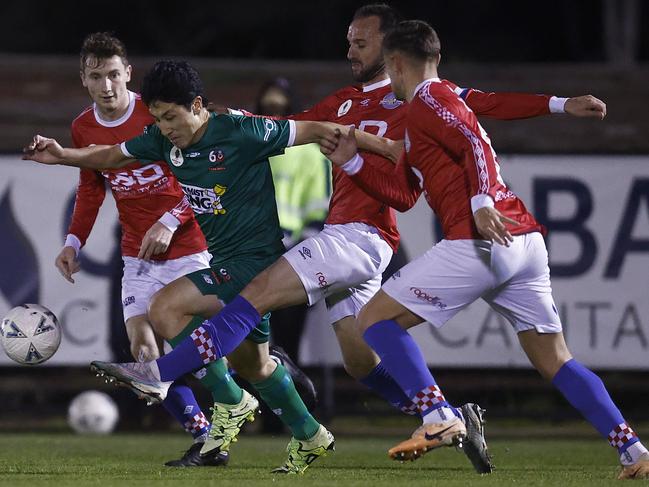 Campbelltown City’s Shogo Yoshikawa charges through the Melbourne Knights defence. Picture: Daniel Pockett