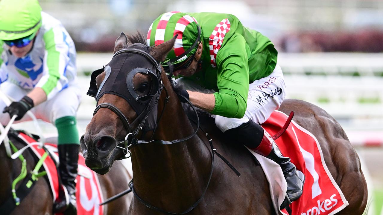 ‘Quiet’ colt makes loud winter carnival statement