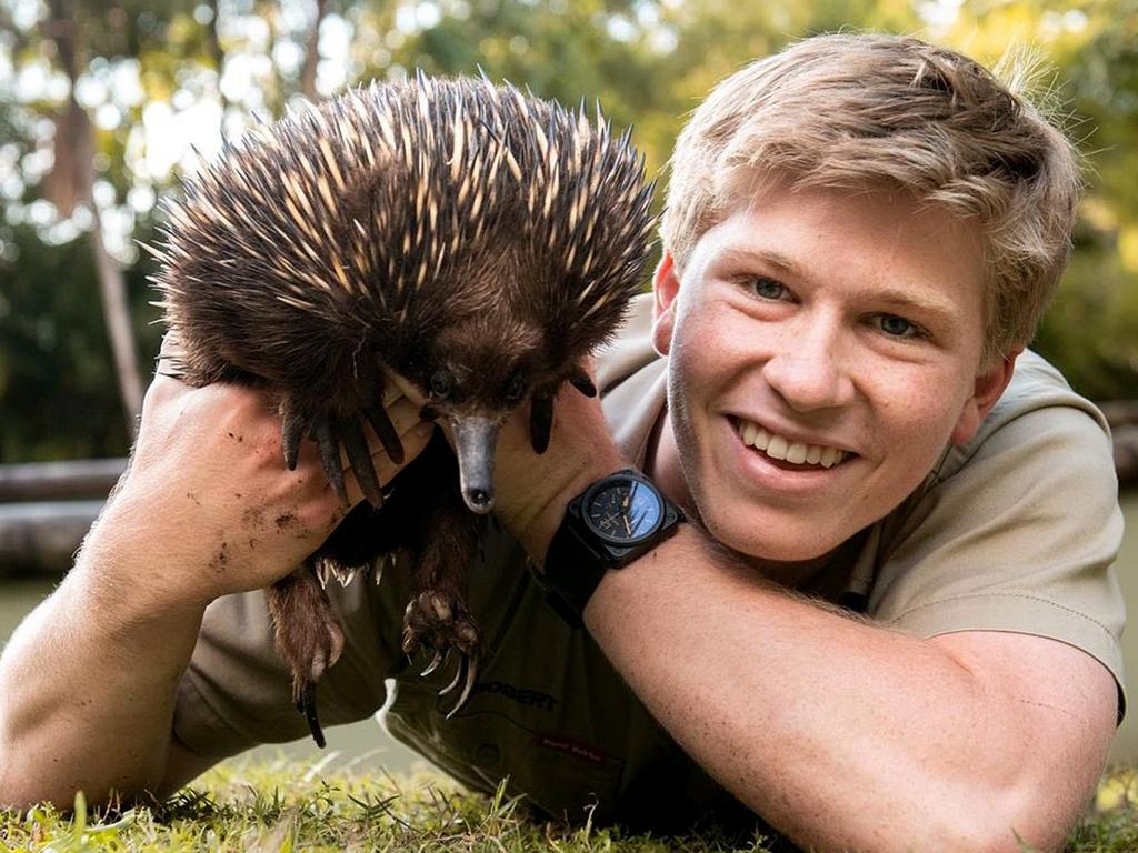 Irwin will make his debut as host when I’m A Celeb returns to screens.