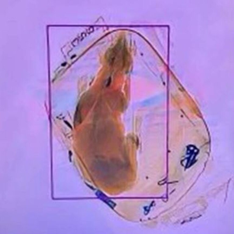 Last year, TSA found a pet dog in someone’s backpack. Picture: TSA