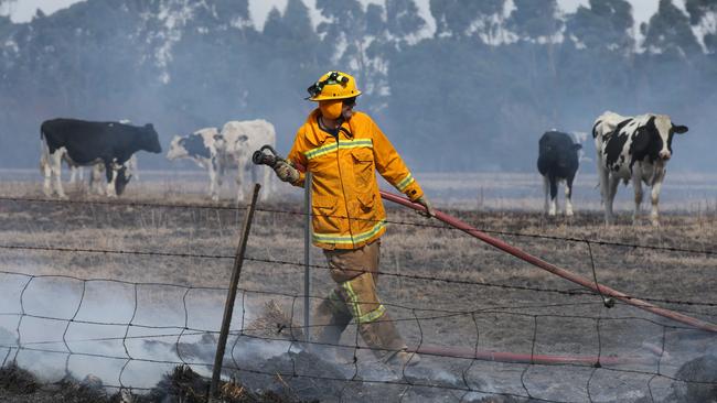 Firefighters put out hot spots near Cobden today. Picture: AAP Image/David Crosling