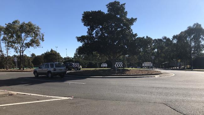 The roundabout of Stanhope Parkway and Majestic Dr.