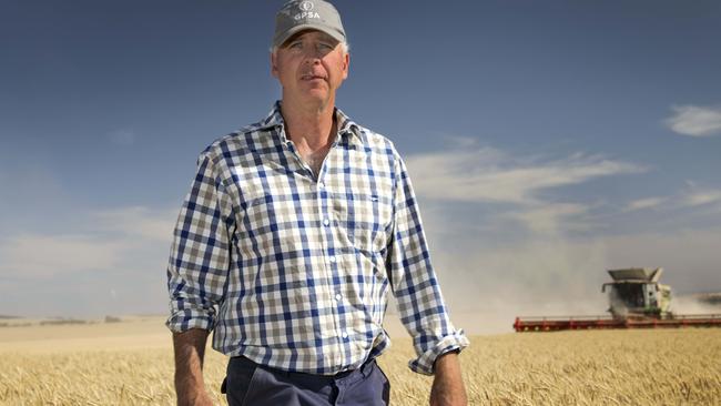 Grain Producers SA chairman Adrian McCabe says farmers will reconsider barley crops this year. Picture: AAP/Dean Martin