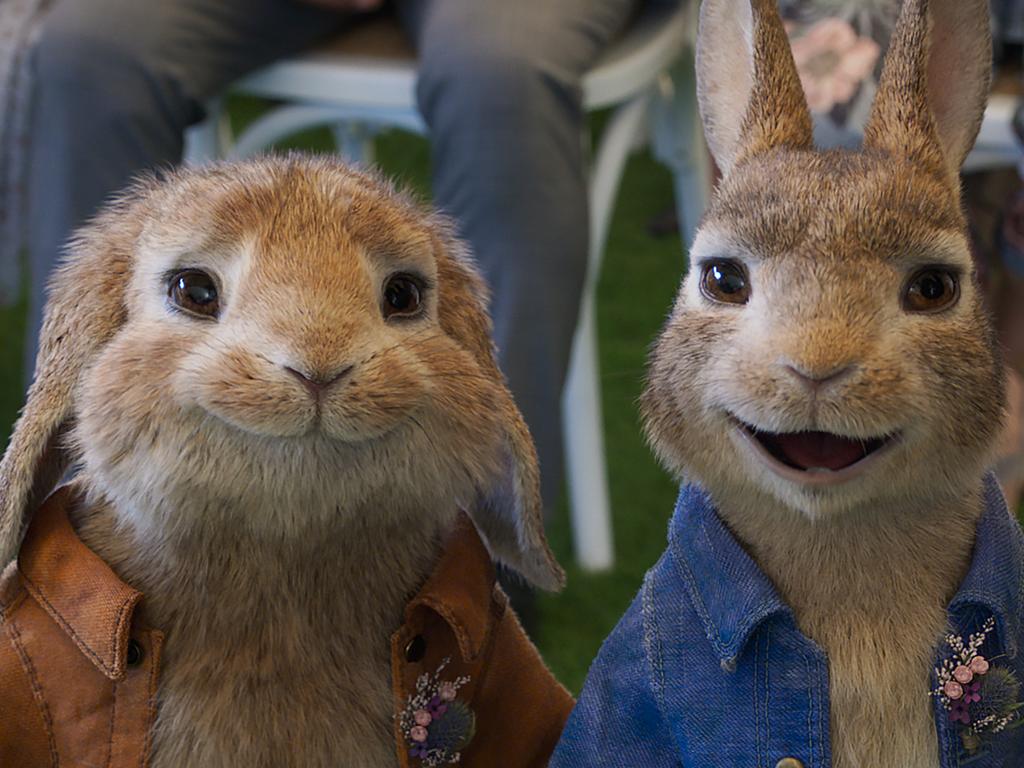 Benjamin (Colin Moody) and Peter Rabbit (James Corden) in Columbia Pictures’s Peter Rabbit 2