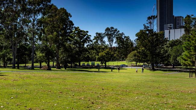 Critics of the State Government’s plan to control the park say it will lead to more concerts and commercial activity, and less access to the public. Picture: Monique Harmer