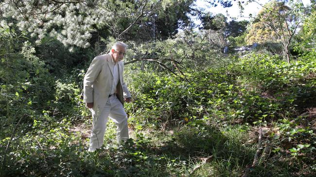 Stirling resident, Oliver Ocorfe, has been writing to the State Government since January, about clearing vegetation along the SE Freeway. Picture: Dean Martin