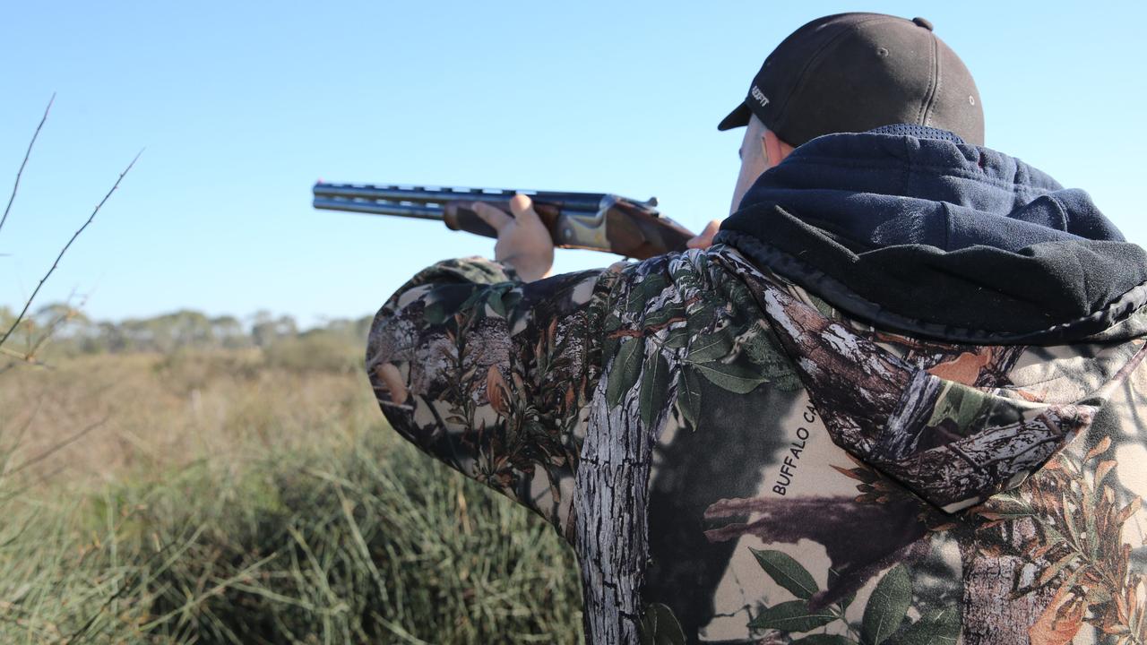 Poll Should Victoria’s duck season be extended? The Weekly Times