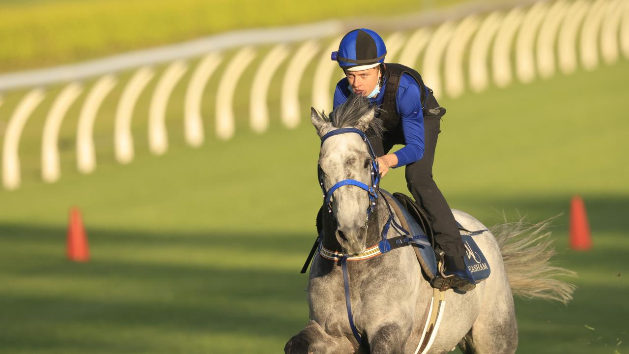 Canterbury Trackwork Session