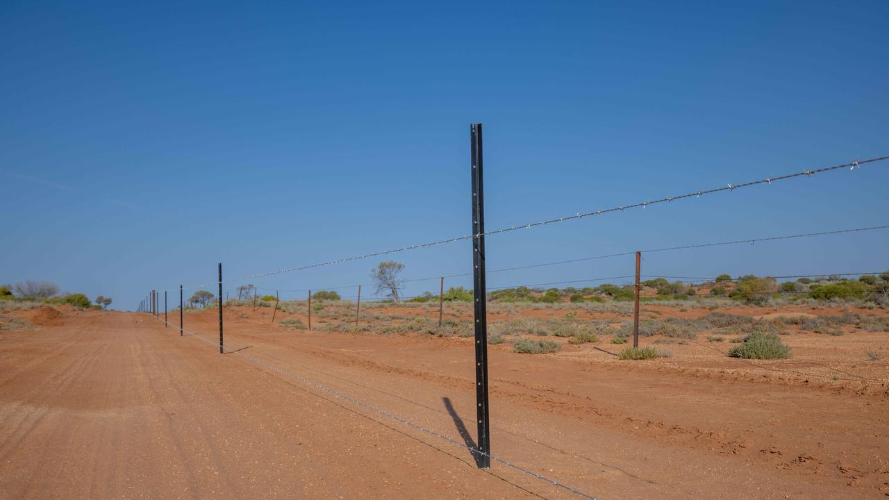 The unauthorised earthworks were undertaken to install a new fence on the boundary of the Nilpena Ediacara National Park and Beltana Station. Picture: Ben Clark