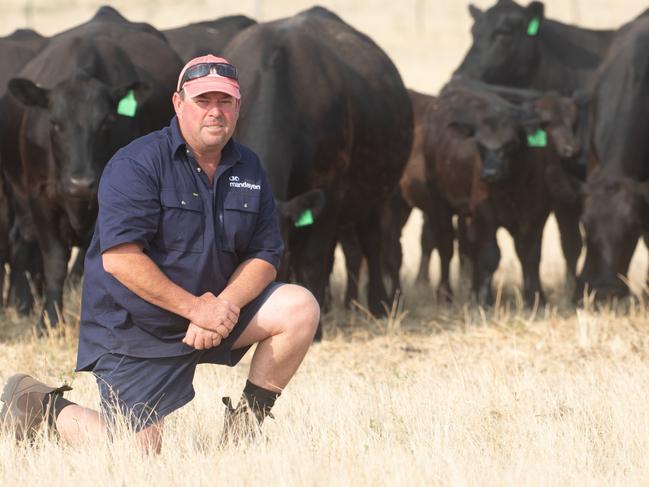 Mandayen Limousin and Angus stud breeder Damian Gommers.