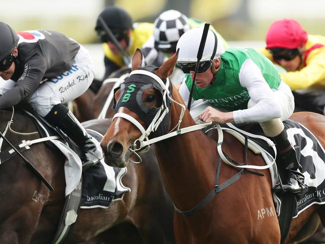 Tasmania star The Inevitable is a lock in the third leg of both quaddies.