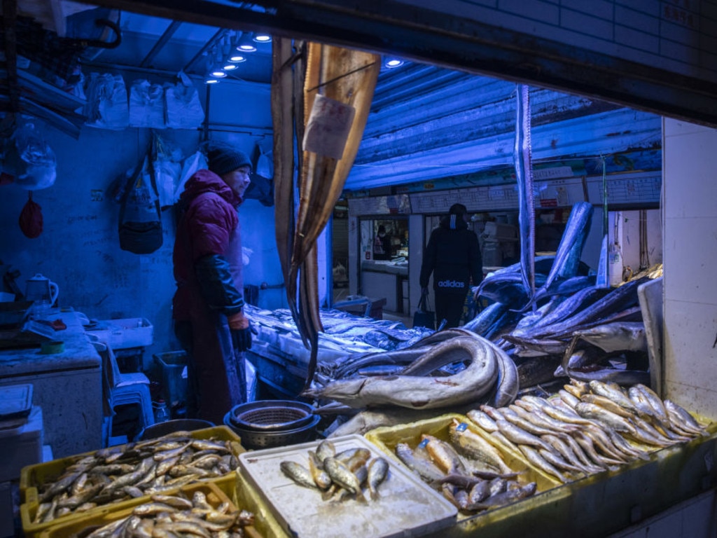 The study into more than a dozen species of animals traded as exotic food in China identified 71 viruses. 18 of which have been deemed “potentially high risk”.