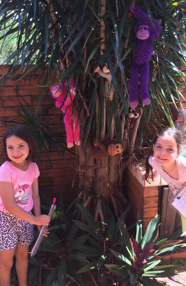 Mila and twin sister Arya visit the monkeys at their mother's zoo in Bald Hills.