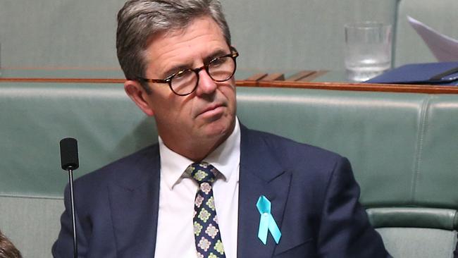 David Gillespie and Luke Hartsukyer in Question Time in the House of Representatives Chamber, Parliament House in Canberra. Picture Kym Smith