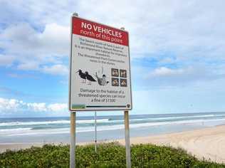 South Ballina Beach. Photo : Mireille Merlet-Shaw/The Northern Star. Picture: Mireille Merlet-Shaw