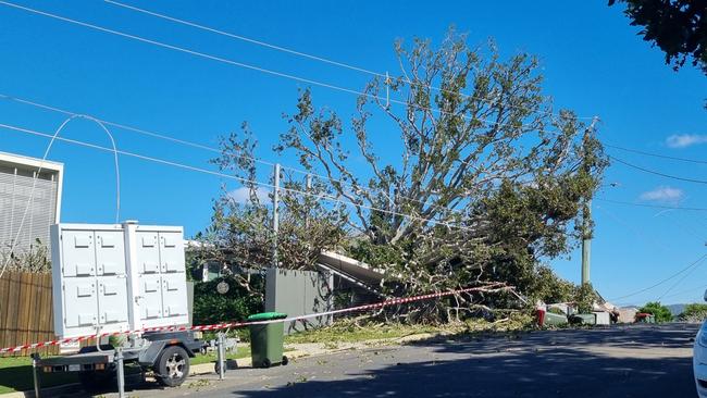 The large tree crashed into the carport. Photo: Richard Walker