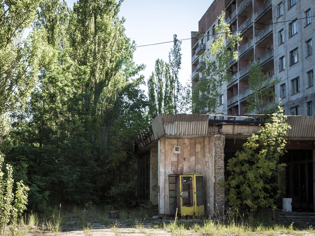 Invasive plants are beginning to take a stranglehold on the buildings in the area. Picture: Erwin Zwaan