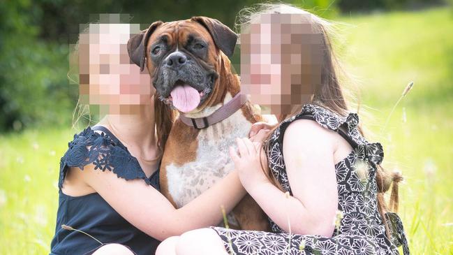 Melanie Kent says her beloved boxer Amy would never hurt her two daughters. Picture: Facebook