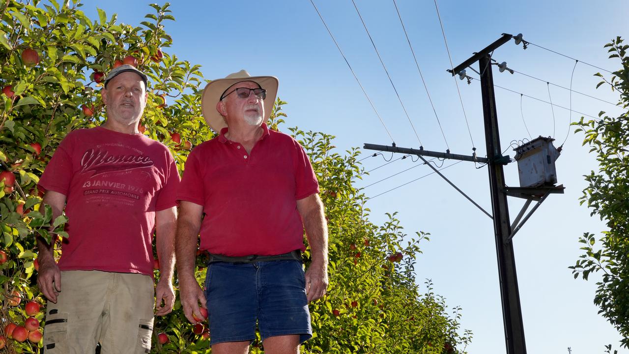 Apple farmers in Lenswood say tree cutting work for SA Power Networks has caused unnecessary damage to their fruit trees a week before harvest. Picture: Dean Martin