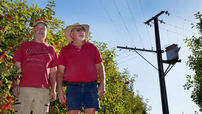 Apple farmers in Lenswood say tree cutting work for SA Power Networks has caused unnecessary damage to their fruit trees a week before harvest. Picture: Dean Martin