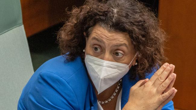 Monique Ryan hectored her fellow MPs on mask compliance. Picture: Gary Ramage