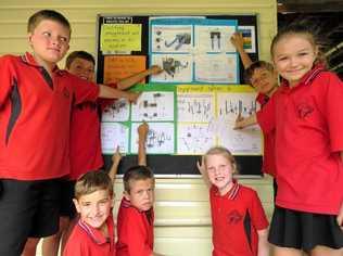 WHICH IS BEST? Glen Aplin students take a vote on their new playground design. Picture: Contributed